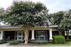 Ascension-Oaks-outdoor