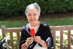 Popsicle