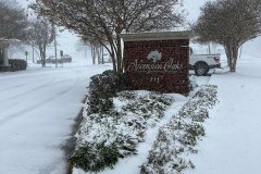 Snow