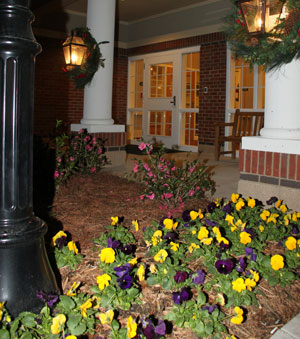 exterior shot of building and flowers